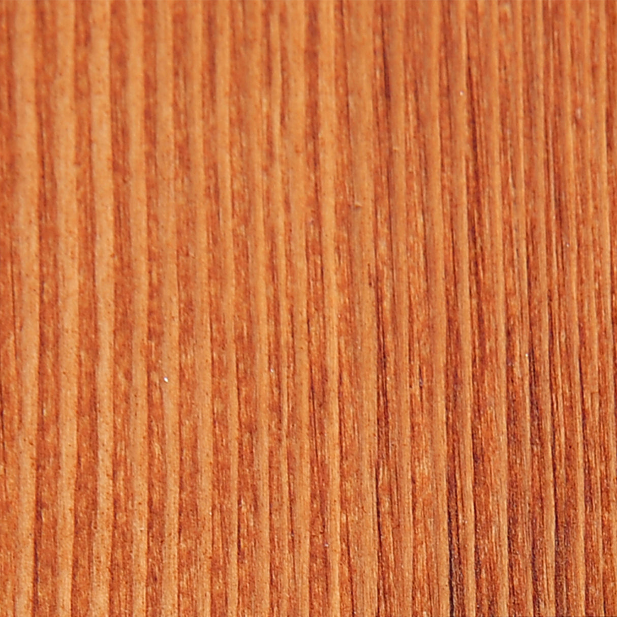 easycomfort easycomfort dondolo da giardino 2 posti in legno di pino con tettuccio parasole bianco