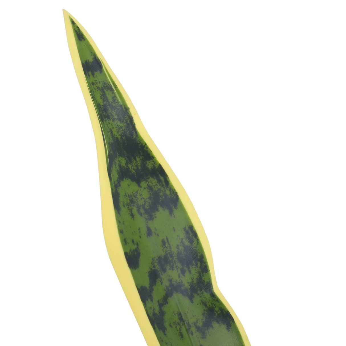 easycomfort easycomfort sanseveria artificiale pianta da esterno e interno con vaso decorativo realistica verde e giallo 15cm x 80cm ean 8054111841894