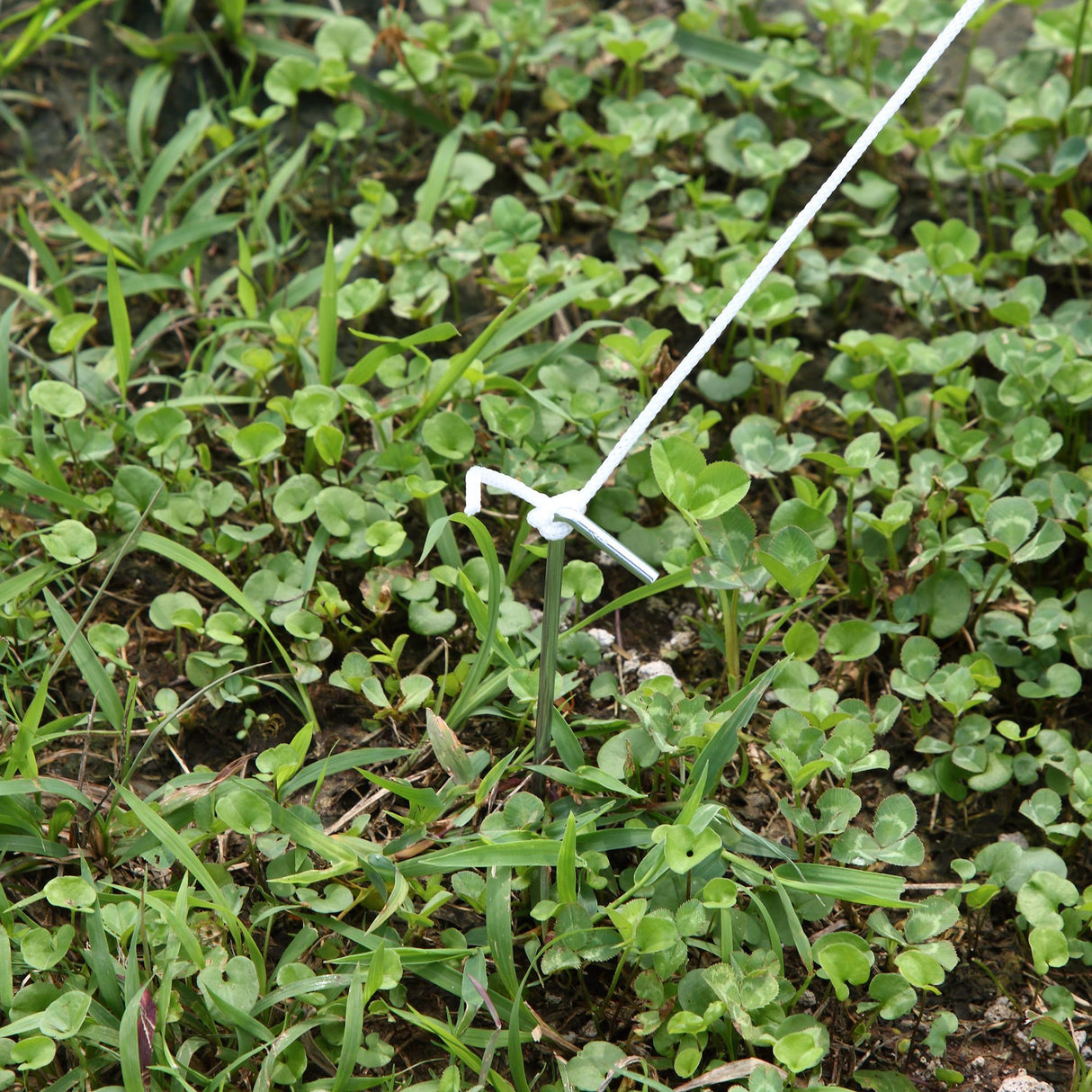 easycomfort easycomfort serra da giardino serre agricole a tunnel 5 x 2 x 2m con struttura in acciaio e telo in polietilene bianco ean 8054144135380