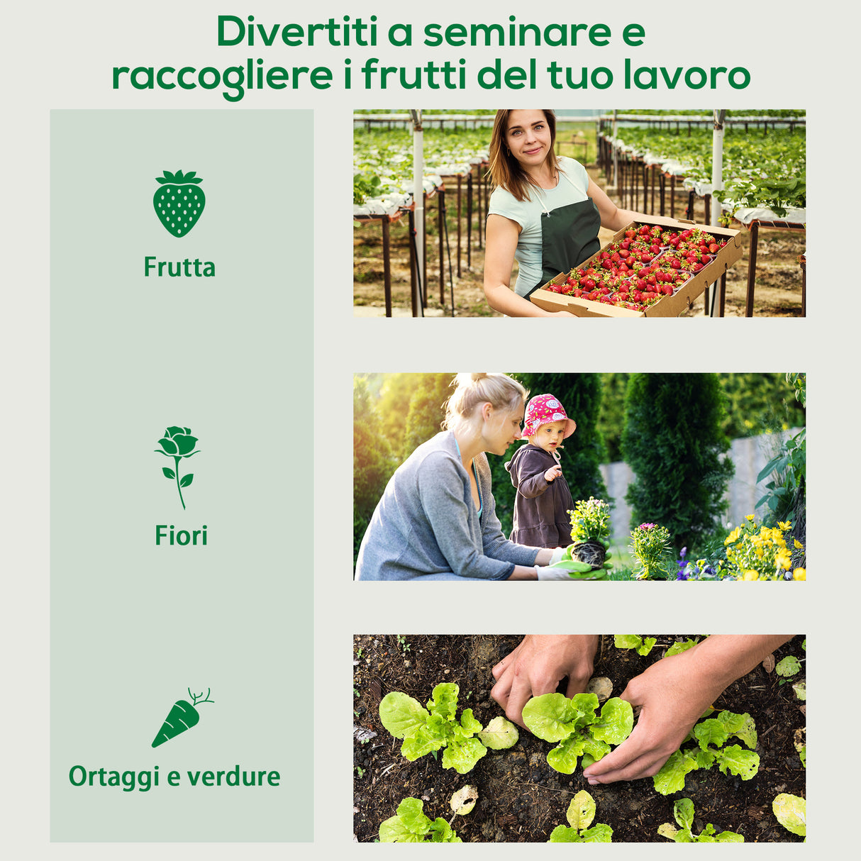 easycomfort easycomfort serra da giardino in pe e acciaio con 4 picchetti 2 finestre e copertura rinforzata 200x77x148 169cm