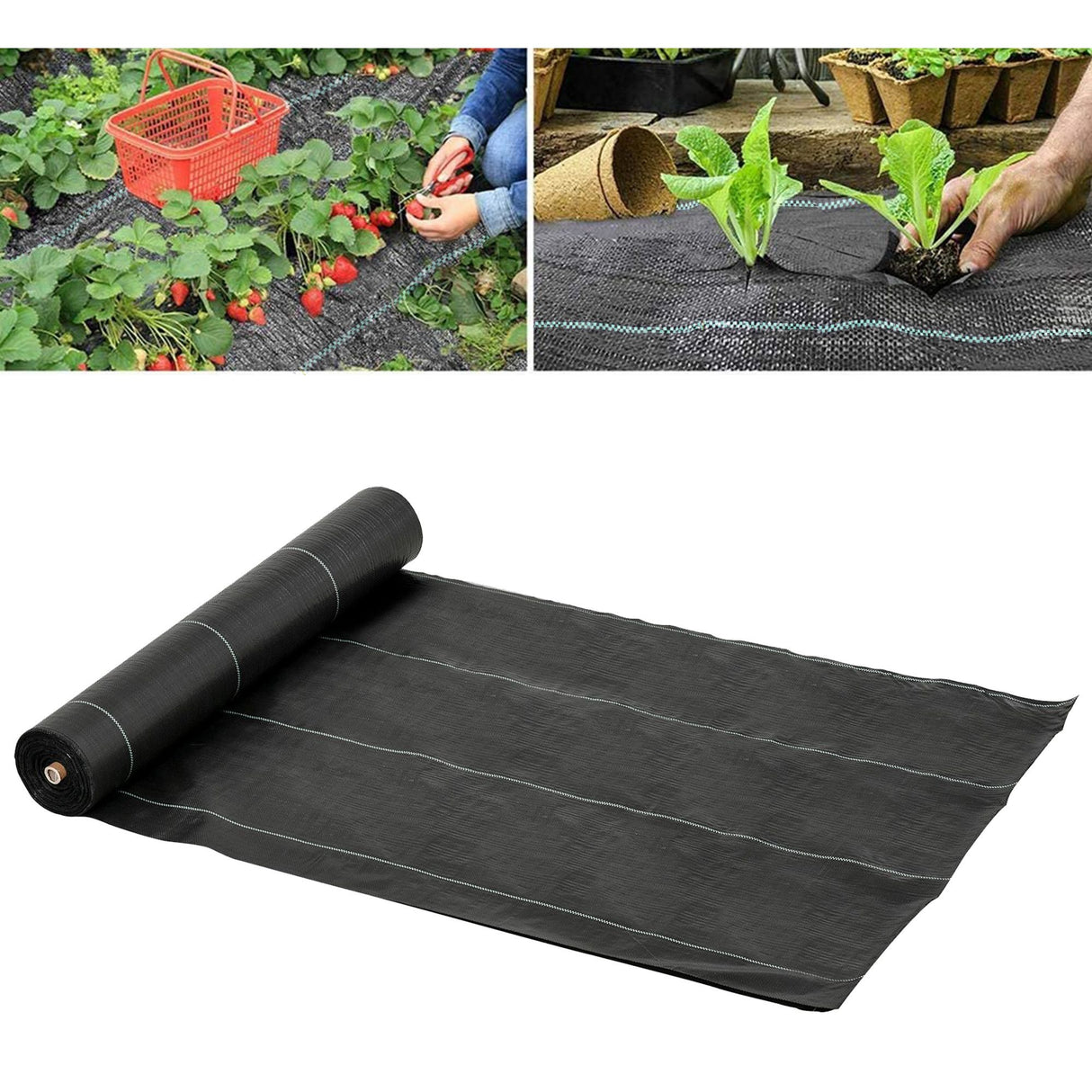 easycomfort easycomfort telo nero pacciamatura 50x2m per orto serra giardino drenante e traspirante con quadrettatura ean 8054111848749