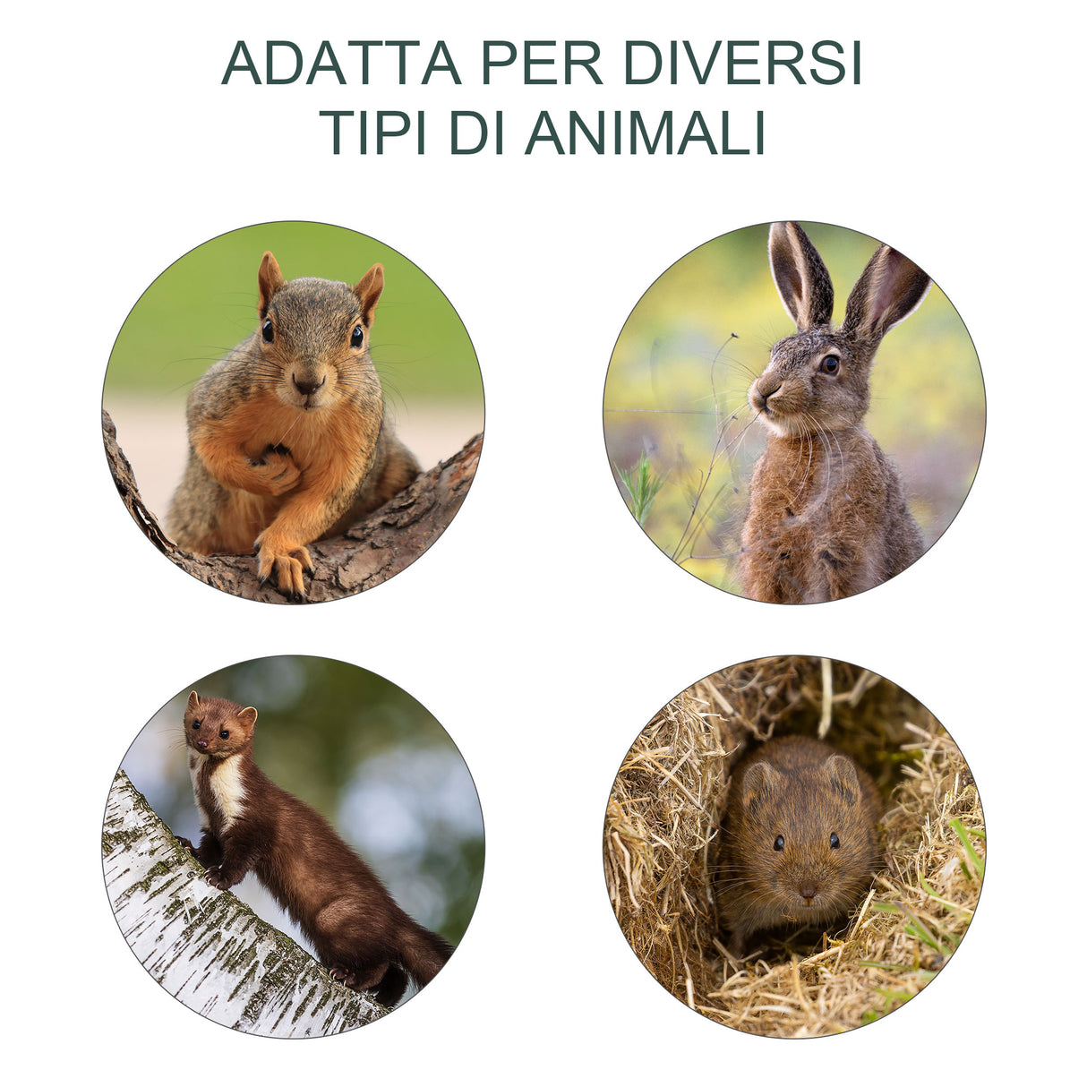 easycomfort easycomfort gabbia trappola per animali vivi pieghevole in acciaio 66x24x30 5 cm argento