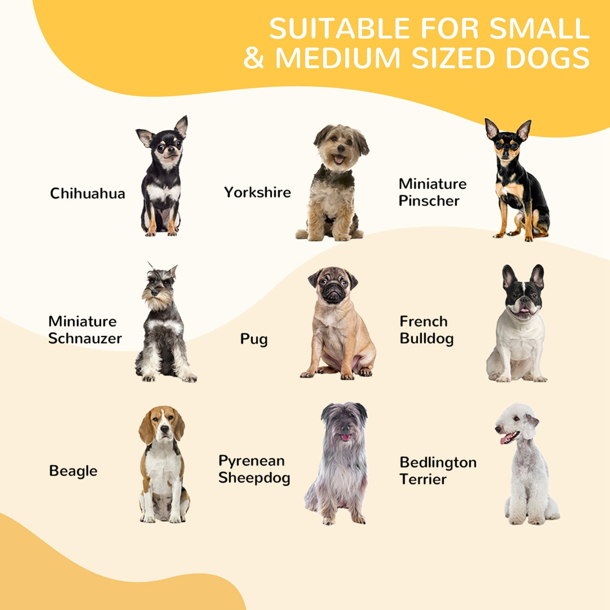 easycomfort easycomfort recinto modulare cuccioli cani per cani da interno ed esterno in metallo e acciaio 8 pannelli 79x79cm