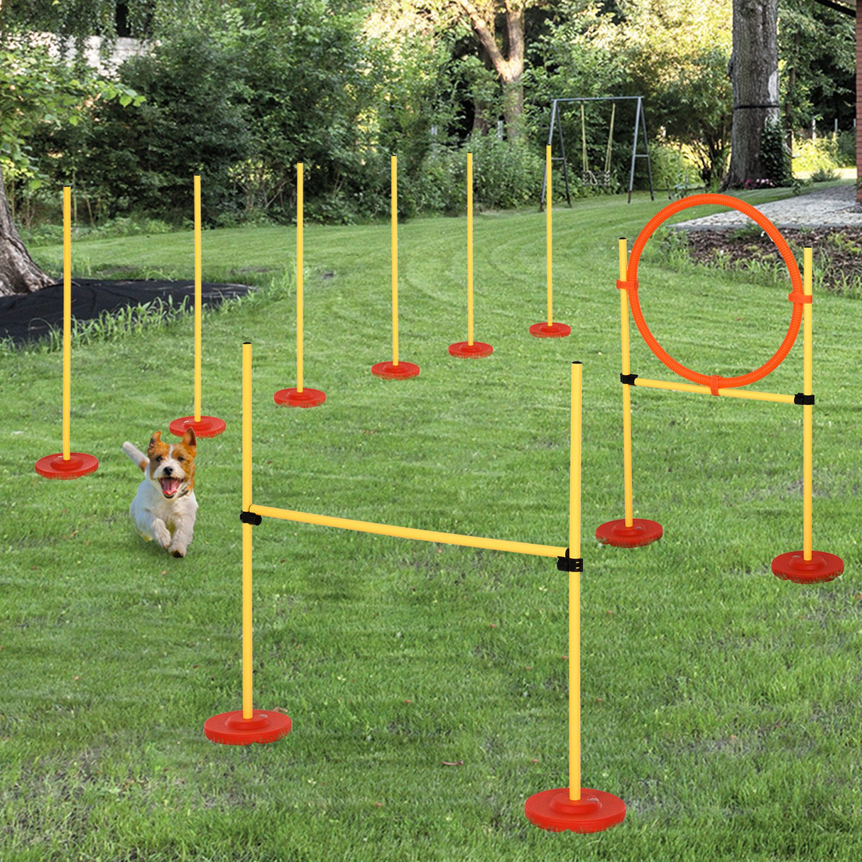 easycomfort easycomfort set agility dog con paletti ed anello regolabile per addestramento cani ean 8054111844772