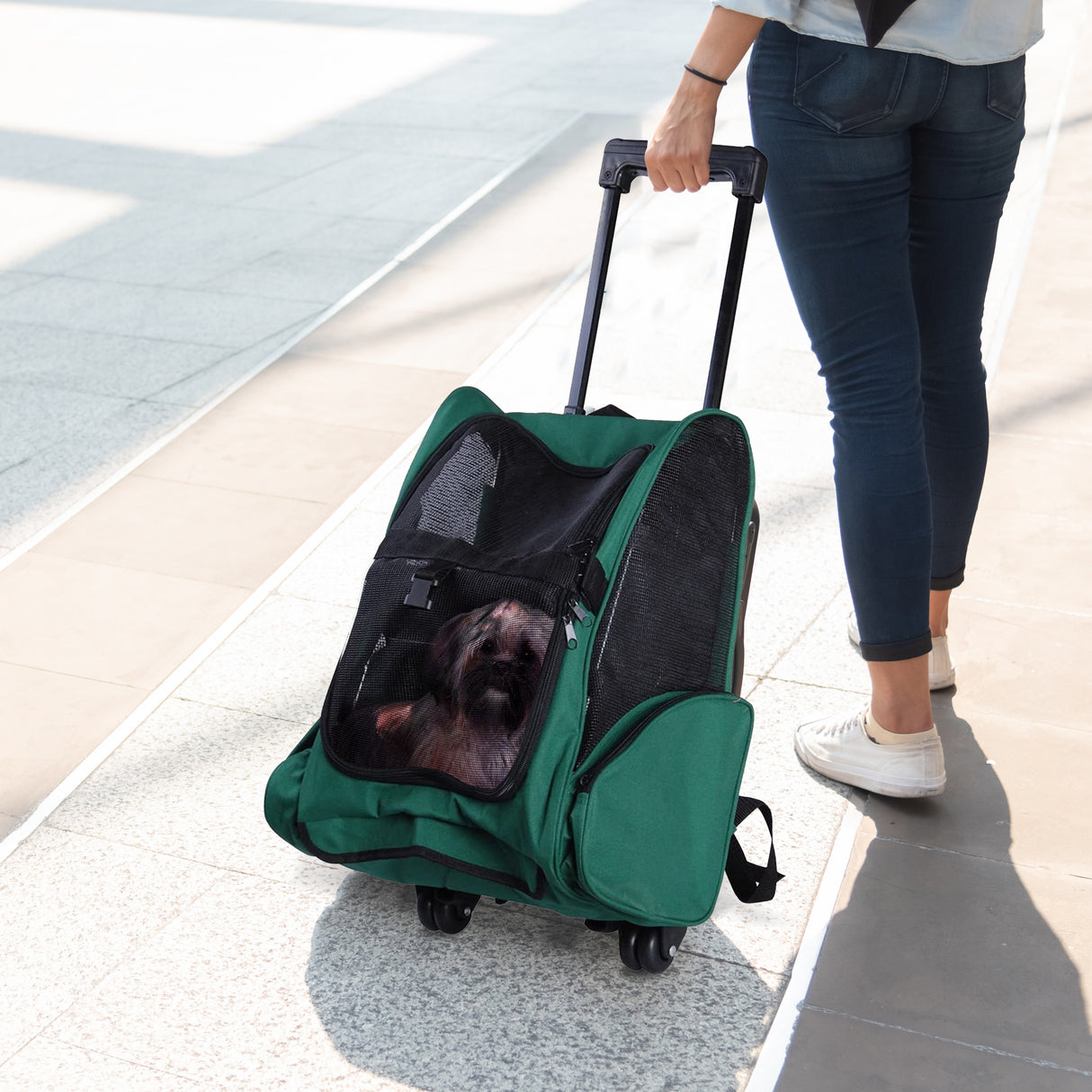 easycomfort easycomfort trolley zaino trasportino per animali domestici verde ean 8054111842525