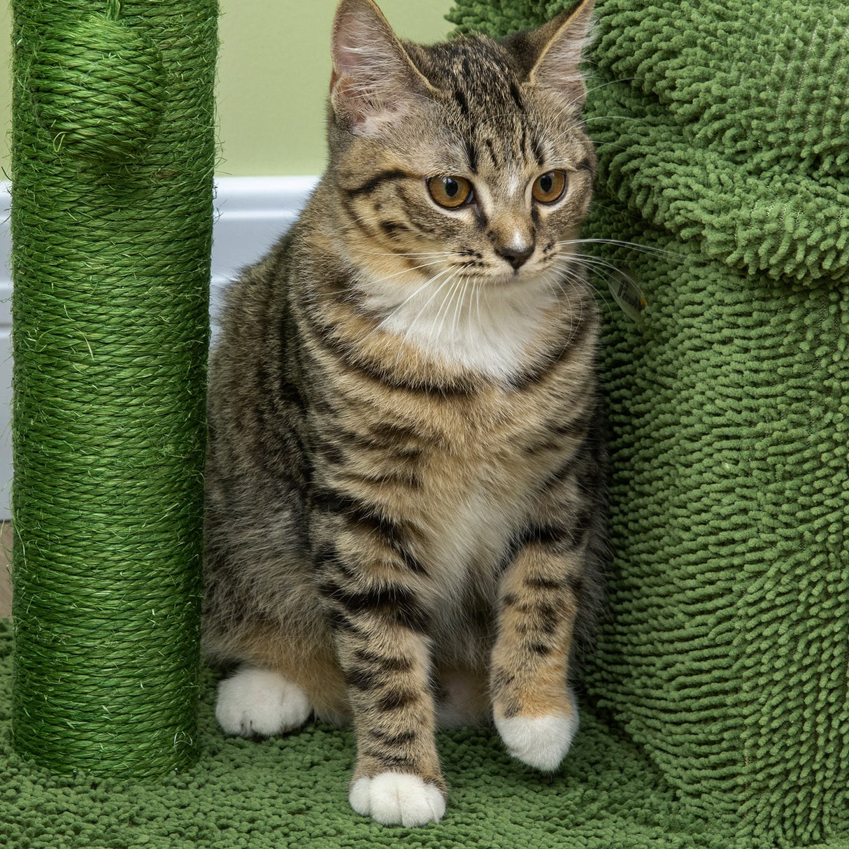 easycomfort easycomfort tiragraffi per gatti con lettino casetta e palo in sisal a forma di cactus 68x30x67cm verde