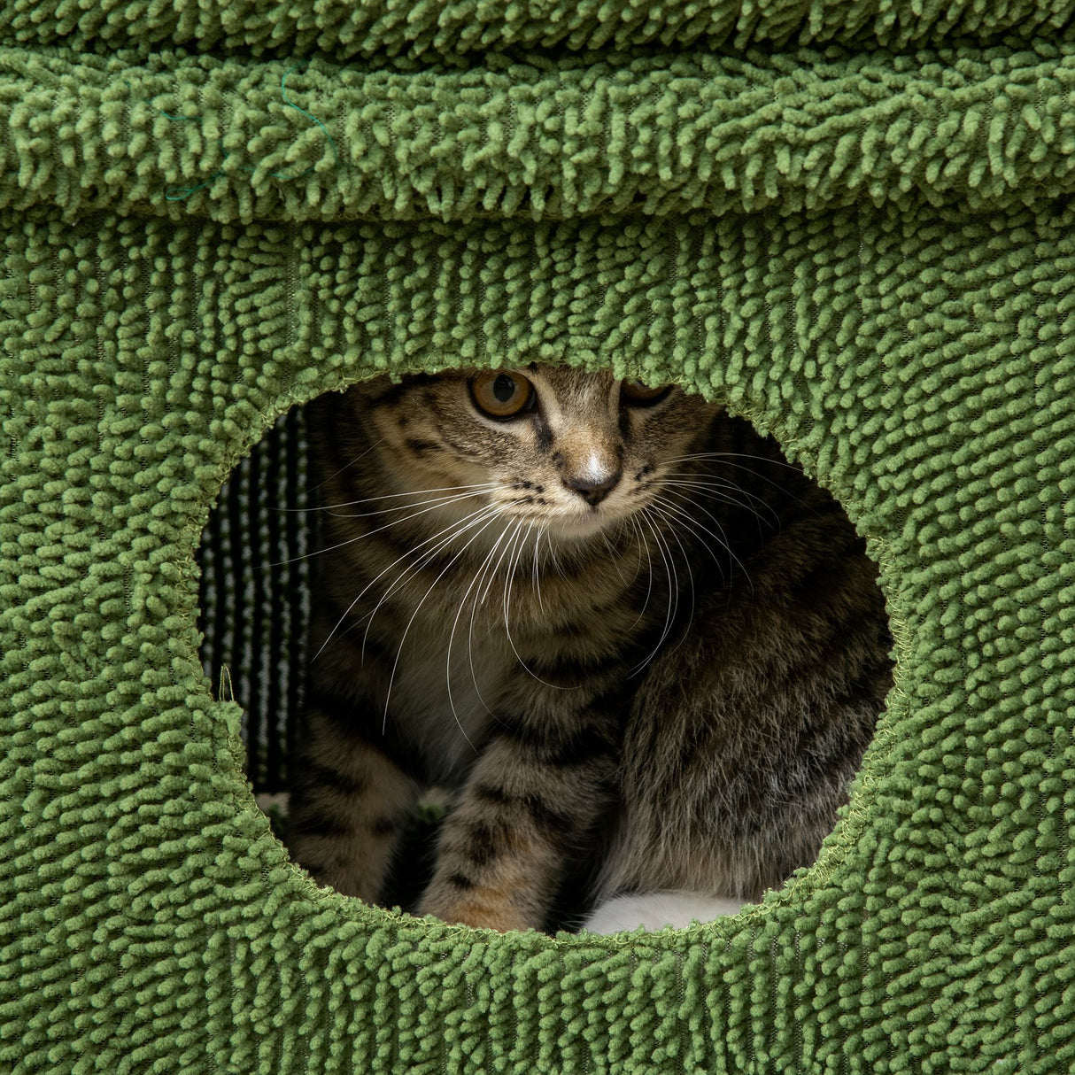 easycomfort easycomfort tiragraffi per gatti con lettino casetta e palo in sisal a forma di cactus 68x30x67cm verde