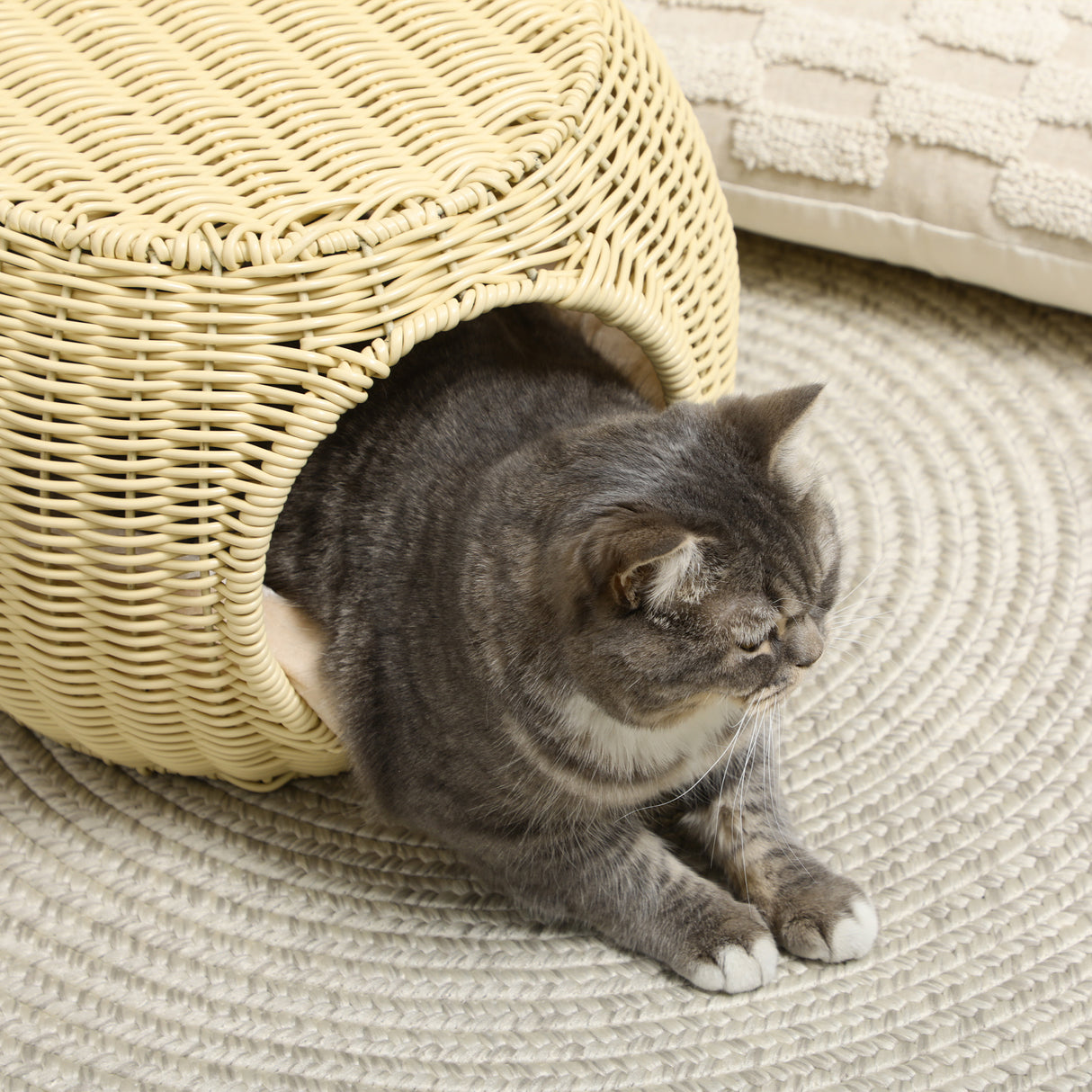 easycomfort easycomfort casetta per gatti a 2 livelli in rattan pe con cuscino lavabile 40x30 cm beige