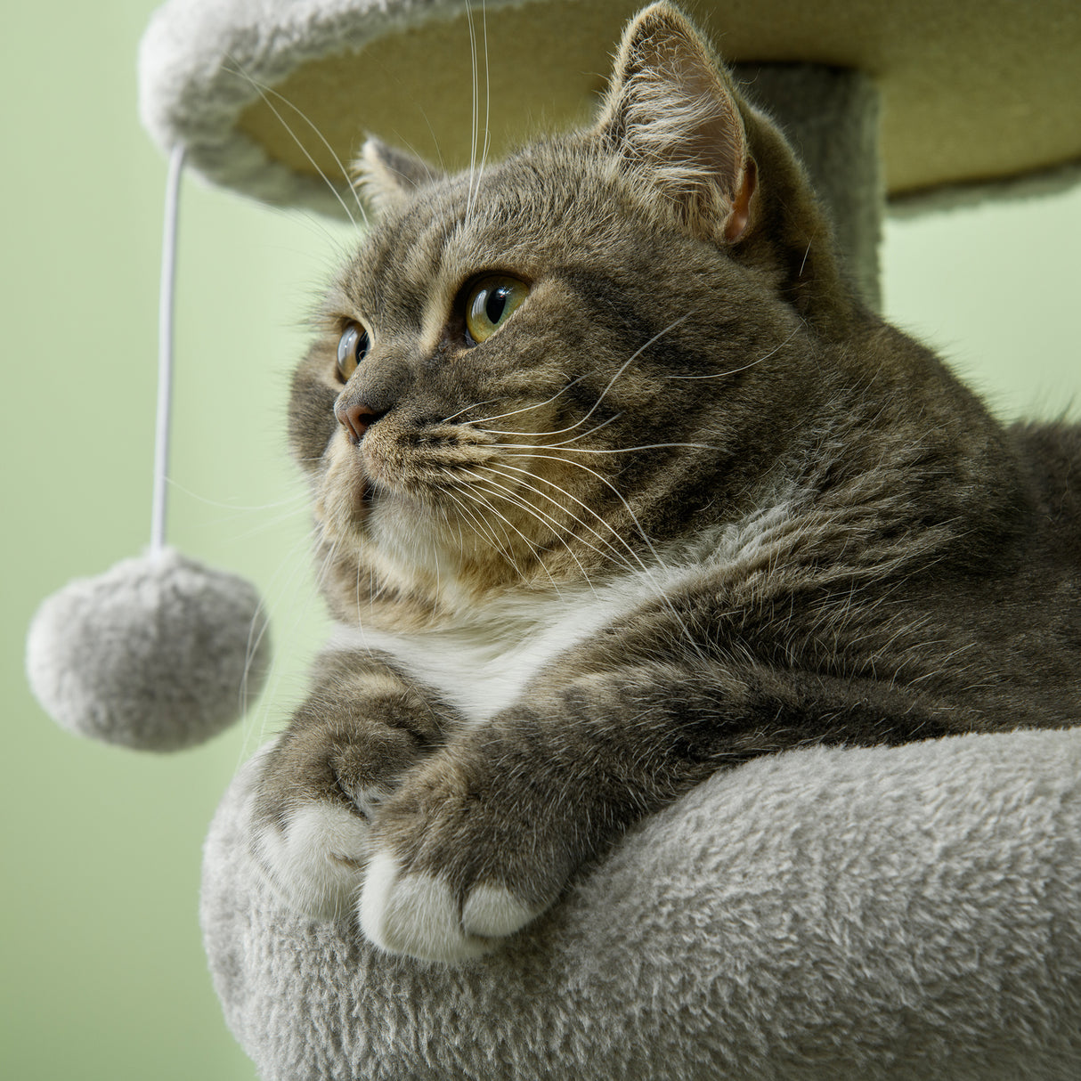 easycomfort easycomfort tiragraffi per gatti in truciolato con palo in sisal casetta e posatoi 65x30x104 cm grigio chiaro