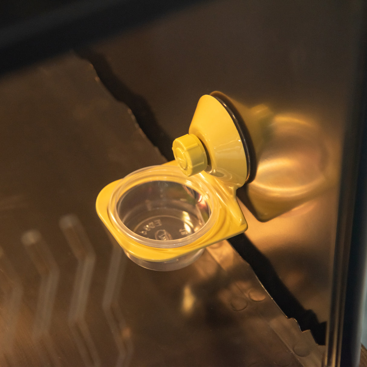 easycomfort easycomfort terrario per tartarughe di terra camaleonte iguana geco e rettili in vetro con termometro 18 34 nero