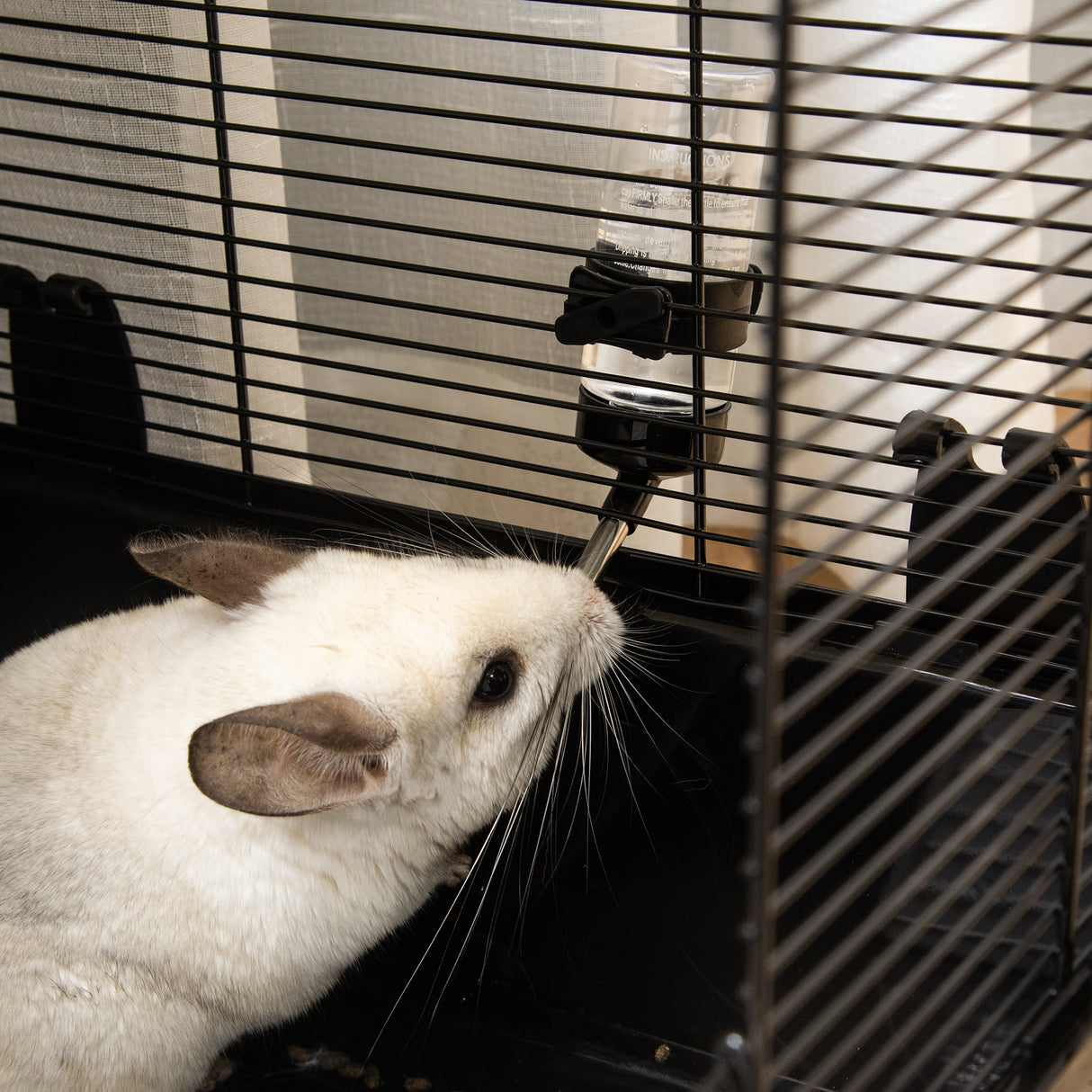 easycomfort easycomfort gabbia per porcellino dindia con maniglia serbatoio dacqua rampa e piatto 80x48x58cm nera