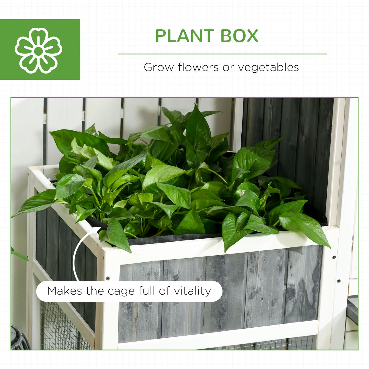 easycomfort easycomfort pollaio prefabbricato in legno con area aperta casetta e nido 161 5x62 5x115cm grigio