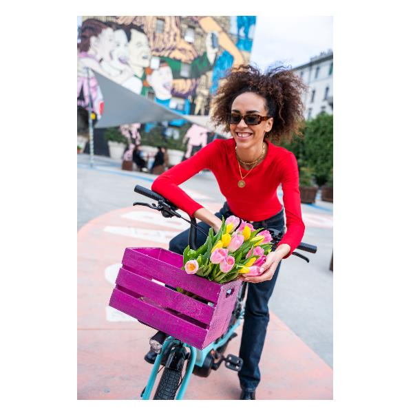 nilox bicicletta elettrica nilox urban cargo e bike c2 cargo mid 36v 250 30nxebcmmv1 ean 8054320848912