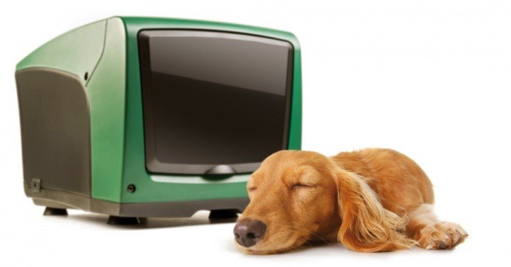 dab area occasione elettropompa dab inverter modello e sybox mini 3 per pressurizzazione idrica codice 60212597