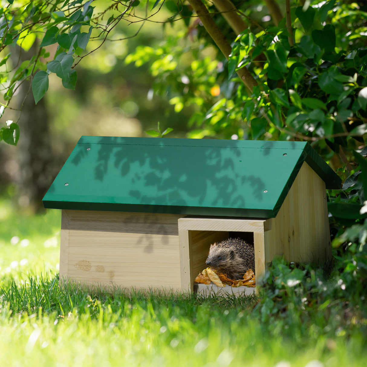 easycomfort easycomfort casetta per ricci da esterni in legno di abete per dormire e mangiare 47x34 2x27cm color legno e verde