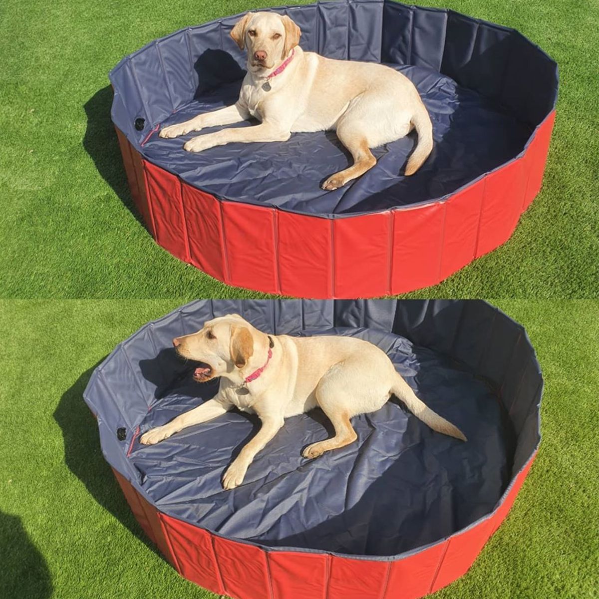 easycomfort easycomfort piscina per cani in plastica bordo stabile per animali domestici 160 x 30 cm xh ean 8054144131634