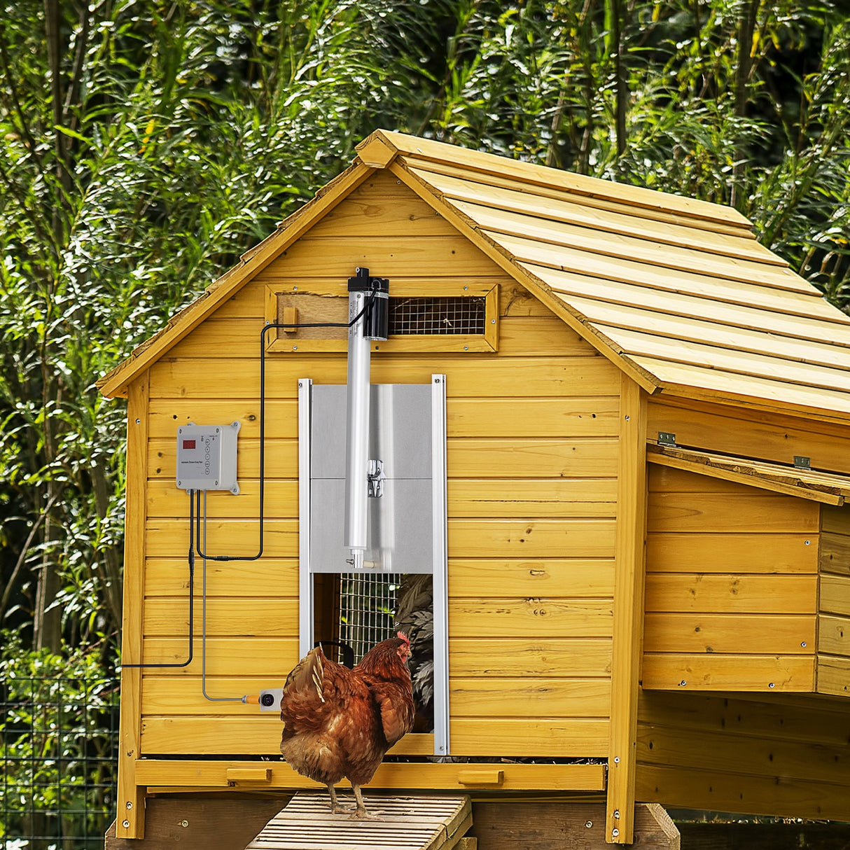 easycomfort easycomfort porta automatica pollaio da 42v con timer e sensore di luce alluminio e abs 30x30cm