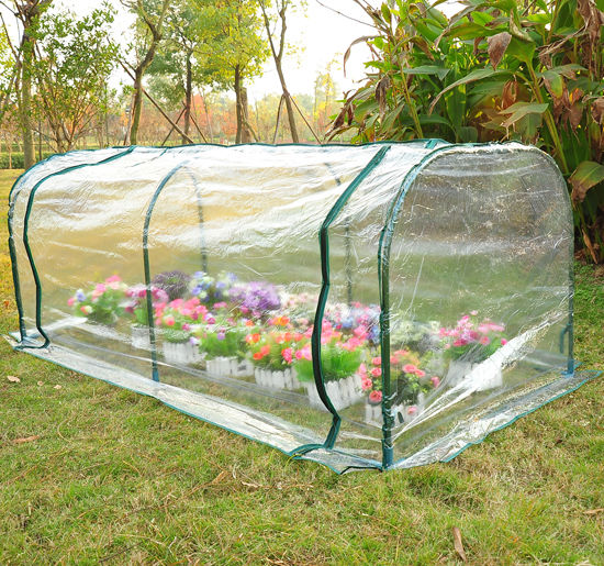 easycomfort easycomfort serra da giardino a tunnel in pvc telaio in acciao trasparente 200x100x80cm ean 8054111849159