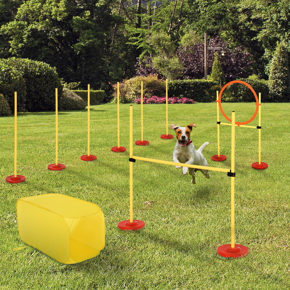easycomfort easycomfort set agility dog per addestramento cani con ostacoli regolabili slalom e tunnel