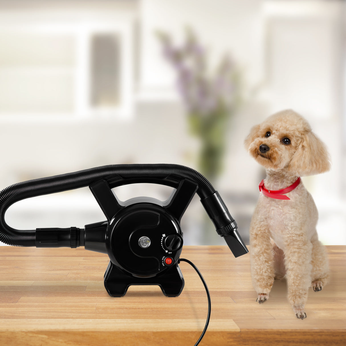 easycomfort easycomfort soffiatore per cani con velocita e temperatura regolabili tubo flessibile e 3 beccucci 2400w nero