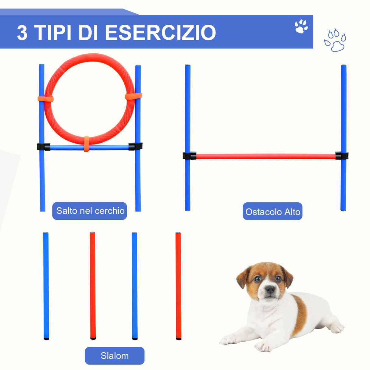 easycomfort easycomfort set agility dog per addestramento cani ostacoli da saltare e slalom sacca di trasporto
