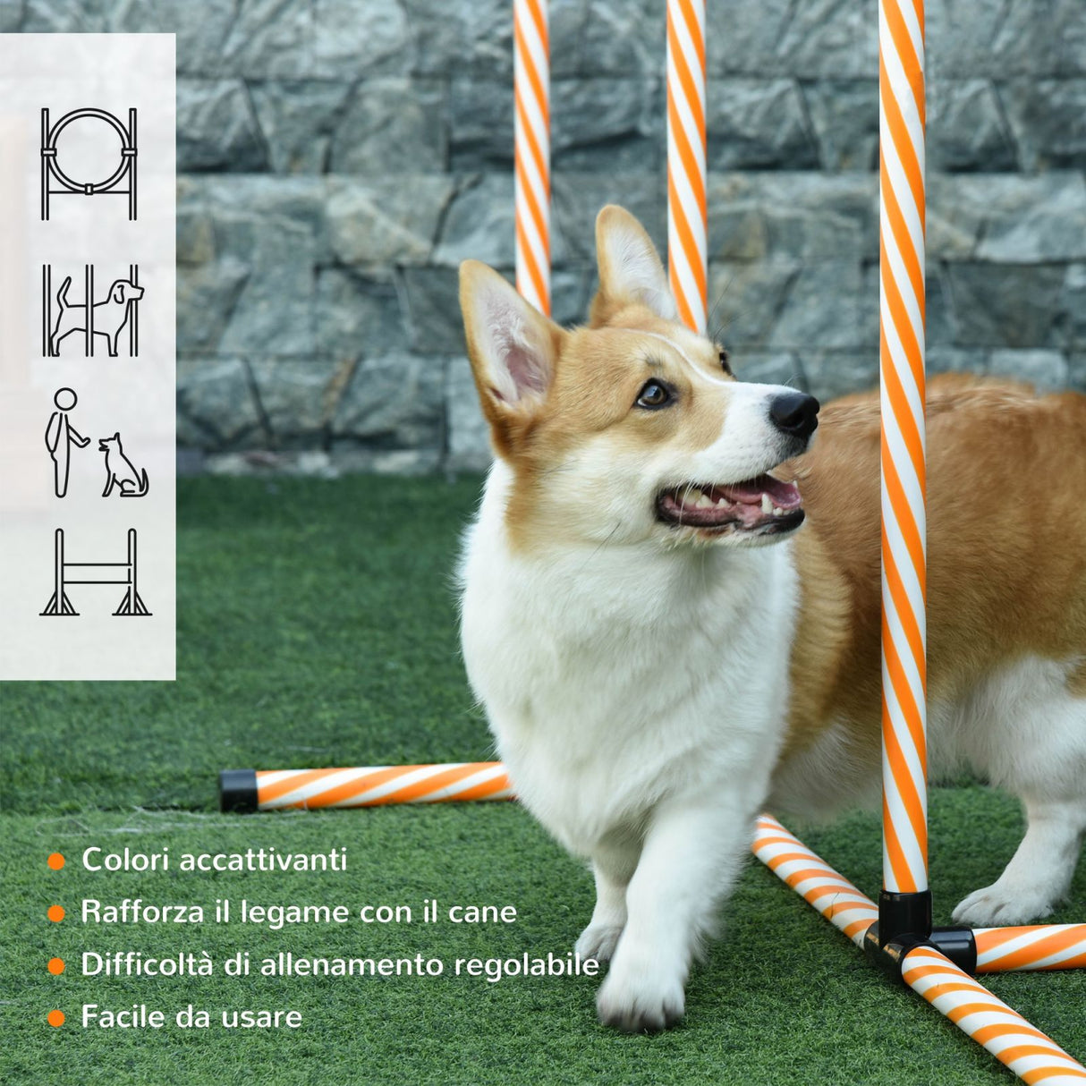 easycomfort easycomfort attrezzi agility dog set percorso completo 5 pezzi slalom ostacolo e tunnel arancione
