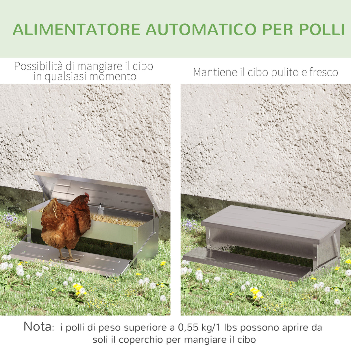 easycomfort easycomfort mangiatoia per galline 8 5 litri 5 polli con coperchio e pedale 56x37x18 5cm argento