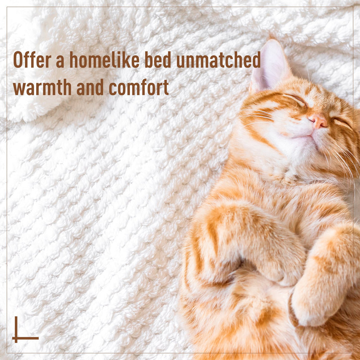 easycomfort easycomfort cuccia amaca per gatti in pe rattan con cuscino in felpa e cotone 60 x 110cm ean 8054144138541