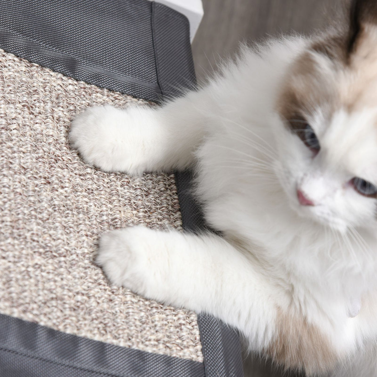 easycomfort easycomfort cuccia per gatti casetta con tiragraffi in sisal e cuscino bianco ean 8054111847100