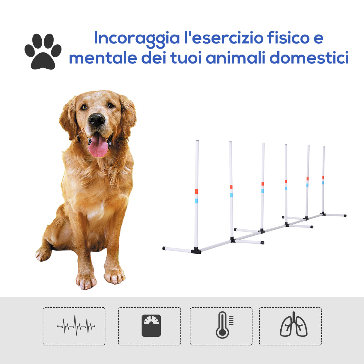 easycomfort easycomfort set agility dog con 6 pali in pe e borsa di trasporto inclusa bianco