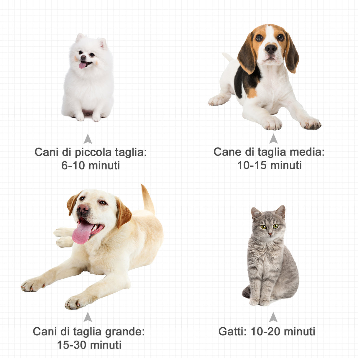 easycomfort easycomfort soffiatore per cani con velocita e temperatura regolabili tubo flessibile e 3 beccucci 2400w nero