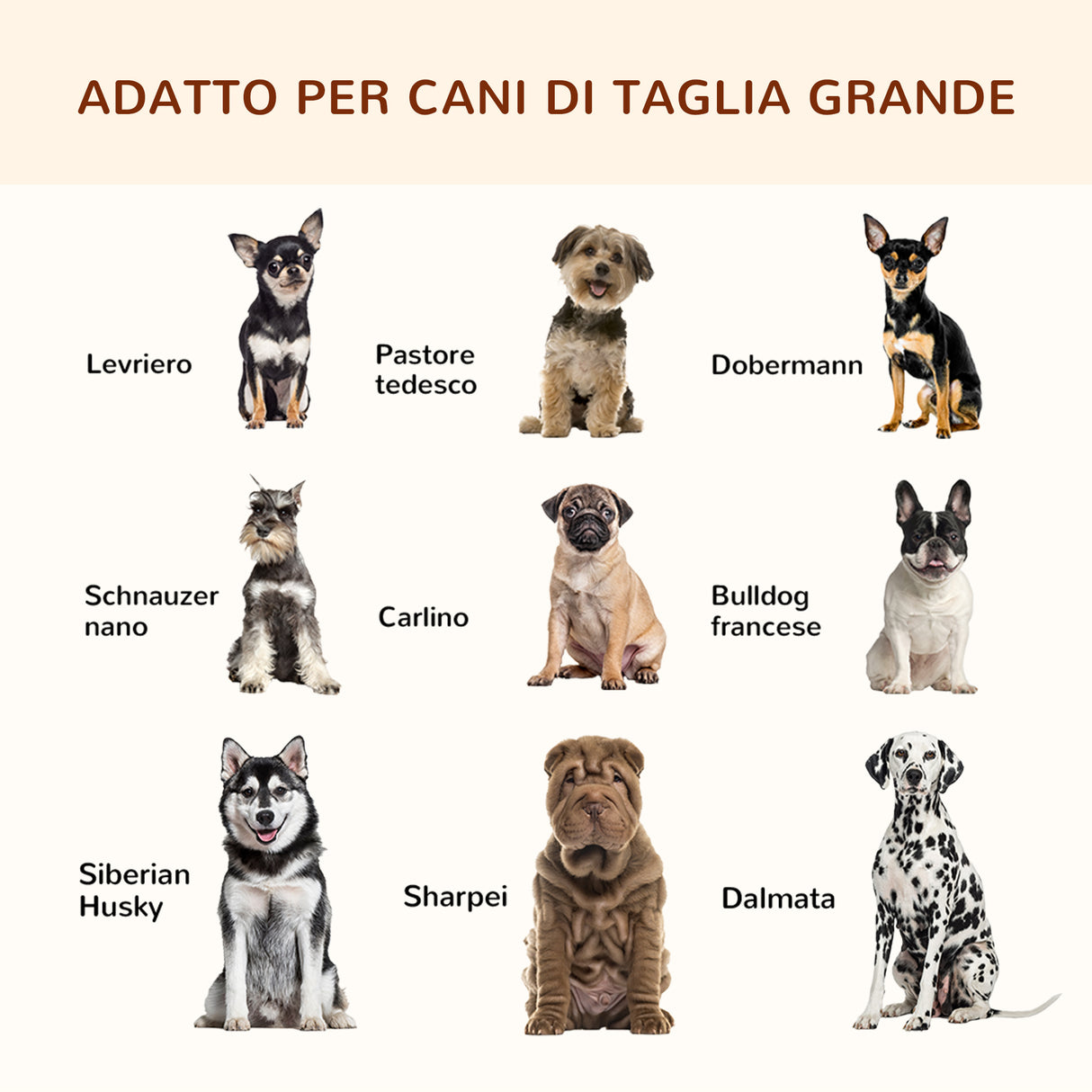 easycomfort easycomfort brandina per cani rialzata con cuscino rimovibile cani fino a 30kg 120x80x30cm