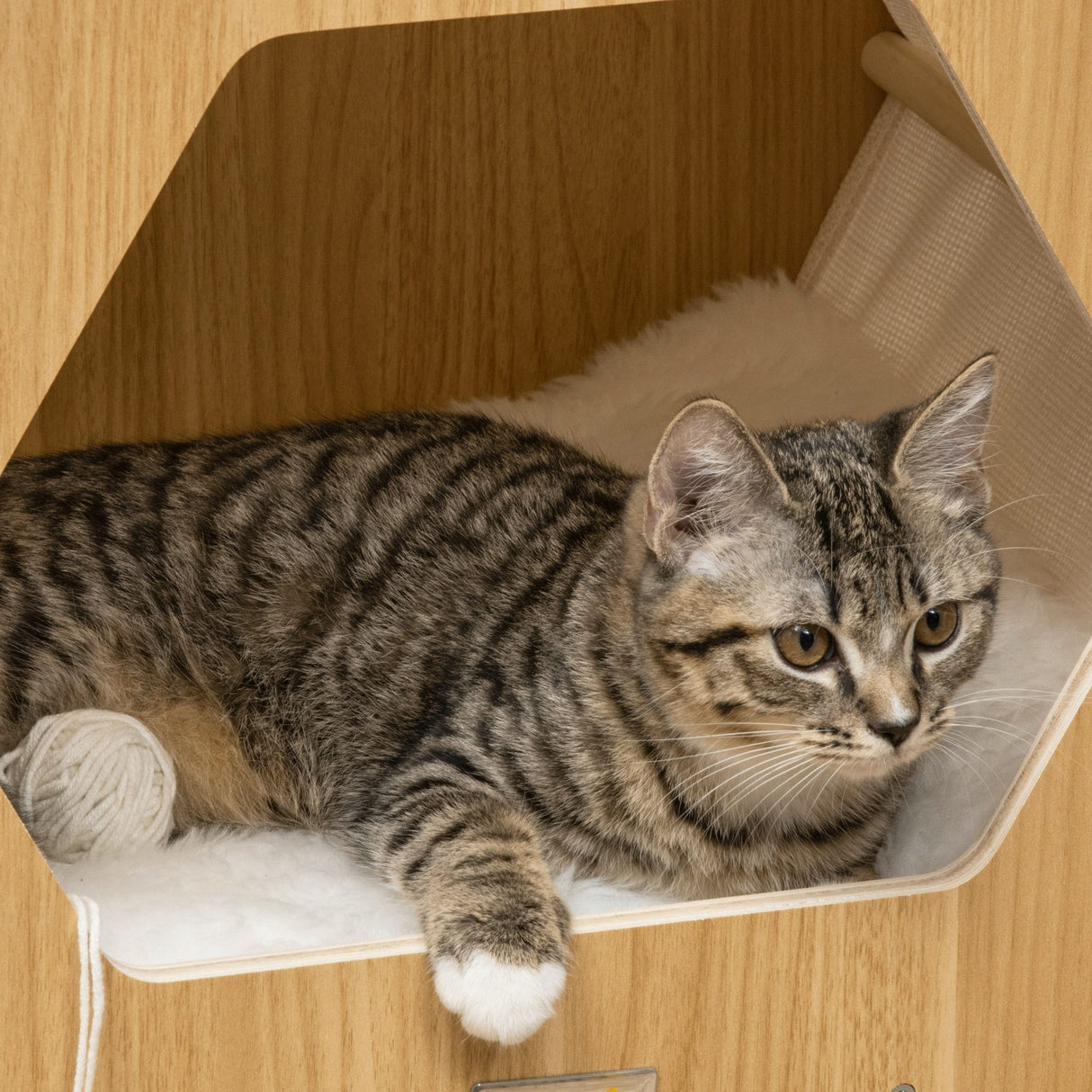 easycomfort easycomfort cuccia per gatti in legno e tessuto con cuscino in peluche lavabile 49 5x38 5x43 5cm