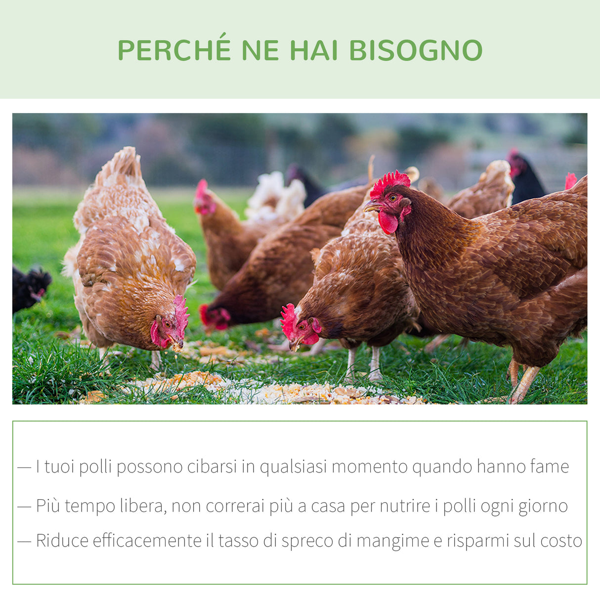 easycomfort easycomfort mangiatoia per galline 22 litri 4 polli con coperchio e pedale 51x38x40 5cm argento