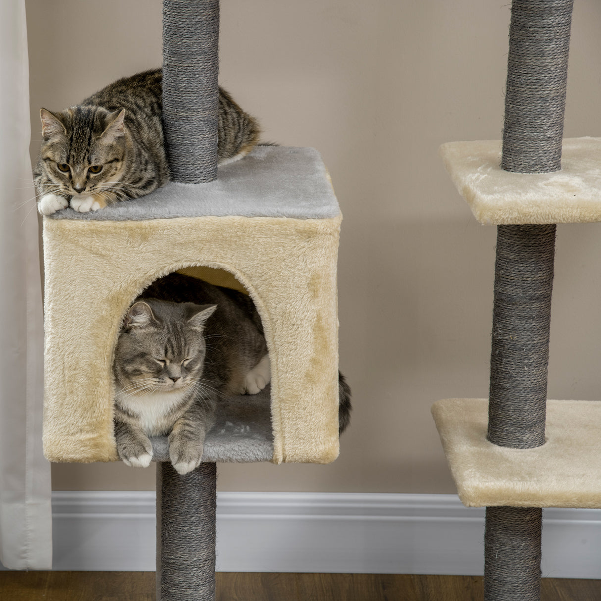 easycomfort easycomfort tiragraffi per gatti alto 156cm con lettino casetta e pali tiragraffi in sisal