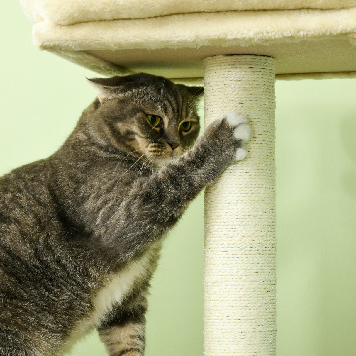 easycomfort easycomfort albero per gatti con paletto casetta per gatti tiragraffi e posatoio 60x40x108 cm beige