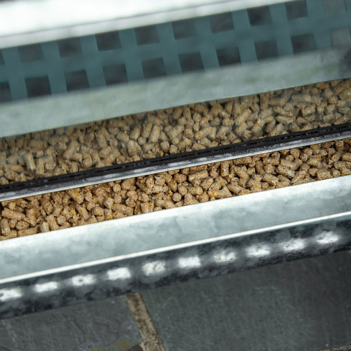 easycomfort easycomfort mangiatoia per galline da 13 5 litri 3 polli con coperchio e pedale 33 5x38 5x66cm