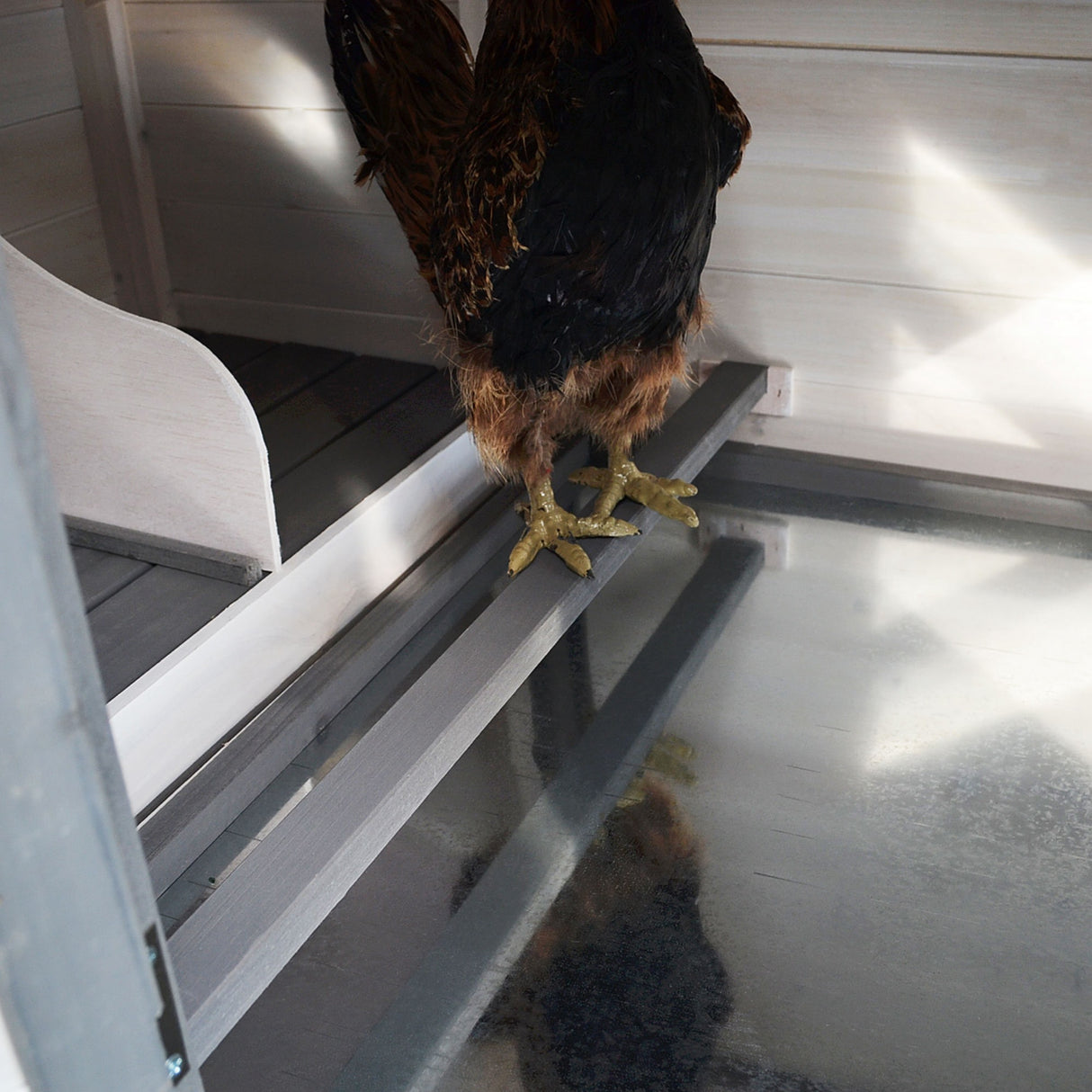 easycomfort easycomfort pollaio da giardino prefabbricato in legno bianco