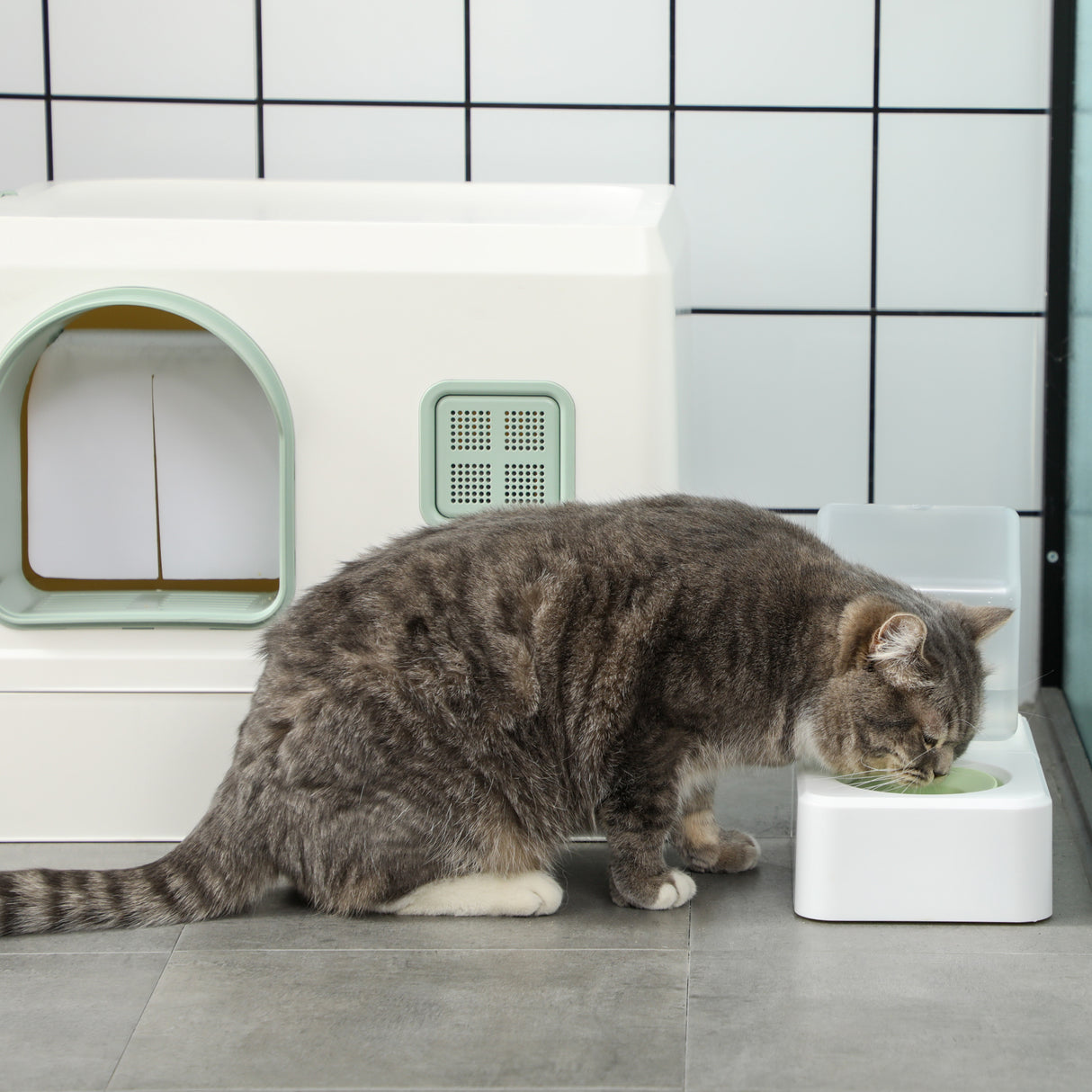 easycomfort easycomfort lettiera coperta per gatti e fontanella vassoio e paletta 50x40x40cm verde e bianca