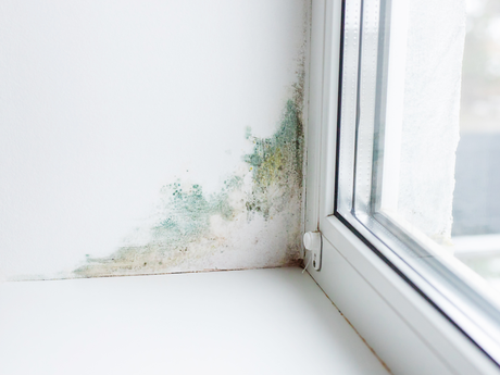 Come ridurre condensa e muffa in inverno e migliorare il comfort domestico