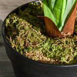 easycomfort easycomfort pianta tropicale decorativa dracena finta in plastica con vaso ean 8054144131122