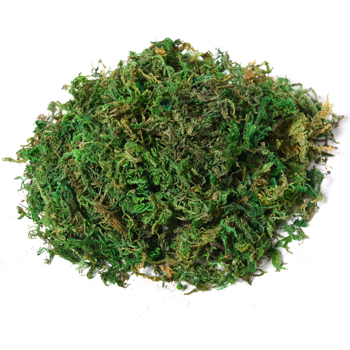 easycomfort easycomfort albero baniano artificiale pianta finta interno ed esterno alta 145cm ean 8054111843829