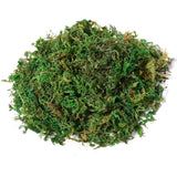 easycomfort easycomfort albero baniano artificiale pianta finta interno ed esterno alta 145cm ean 8054111843829