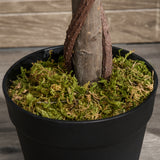 easycomfort easycomfort set 2 piante finte di alloro in vaso alte 120cm per interni ed esterni ean 8054144133454