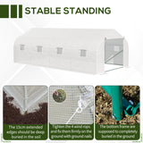 easycomfort easycomfort serra per orto 6x3x2m con 8 finestre e porta avvolgibile in acciaio e pp verde