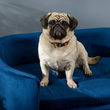 easycomfort easycomfort cuccia da interni divano per gatti o cani di taglia piccola e media in velluto blu