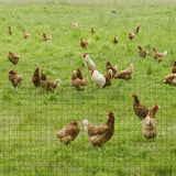 easycomfort easycomfort rete metallica da giardino con rivestimento in pvc per recinzioni da esterno 500x91cm verde