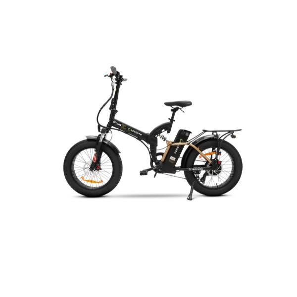 Electric Bike Bici Elettrica Argento Bimax Argento Bicicletta