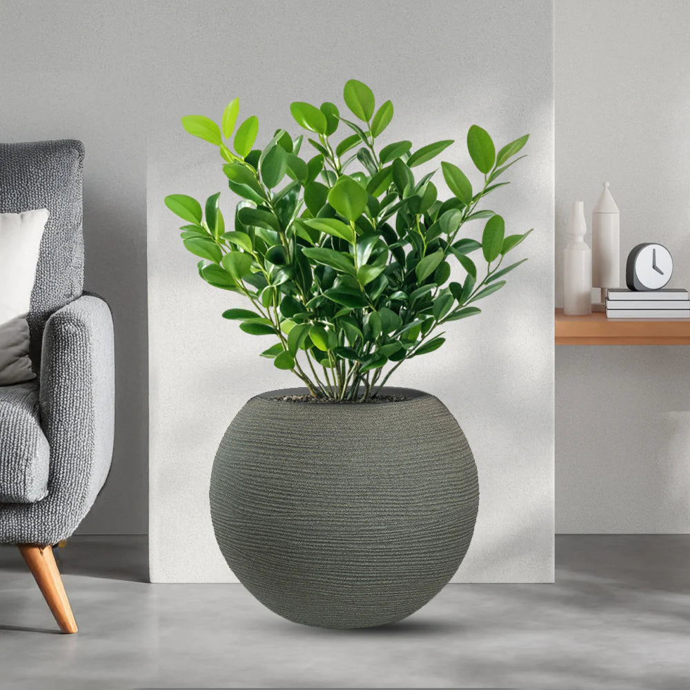 divina garden vaso in resina da esterno interno per piante tondo a sfera di design d 40x33h botticelli verde ean 8056157808985