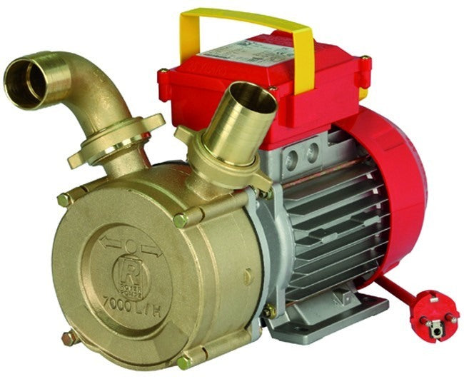 elettropompe rover e.pompa mod. 30 ce hp.090 220v ean 8032706071444